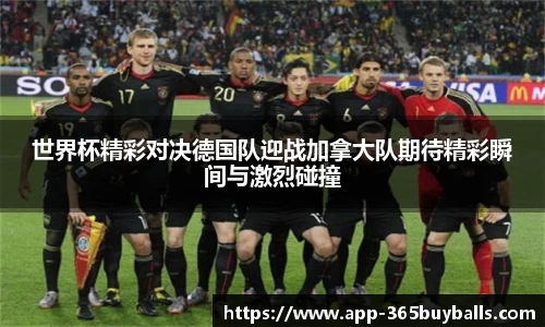 365买球官方网站